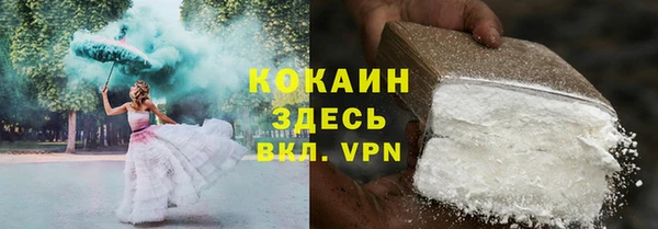 индика Баксан