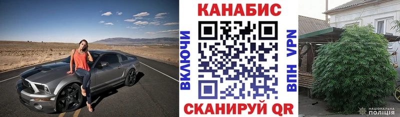 продажа наркотиков omg зеркало Шишки марихуана сатива Лермонтов